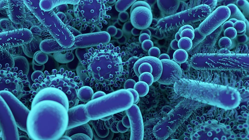 Le microbiote intestinal, votre allié santé - MARATHONS.FR