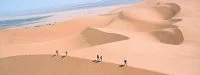 Sandrine Gard : Du marathon d'Albi au marathon des Sables 