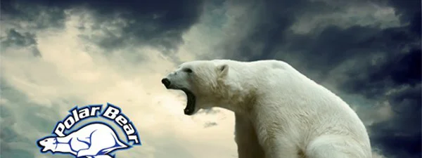 Polar Bear Marathon : Un marathon pas comme les autres au Canada