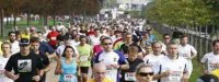 Cross du Figaro : Changement de nom en 2015