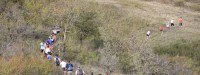 Le Festival des Templiers : La course nature à l'honneur