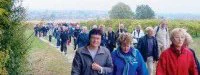 Marathon du Cognac : Une randonnée festive