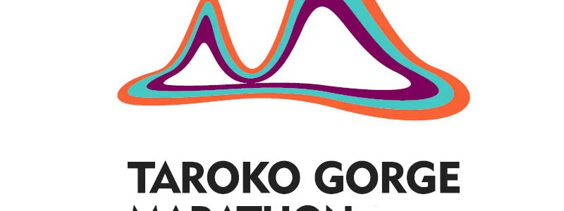 Taroko Gorge Marathon : Des coureurs attaqués par des frelons