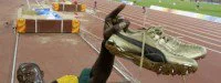 2008, saison record pour l'athlétisme
