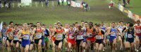 Chpts d'Europe de cross : Les Bleus ambitieux à Dublin