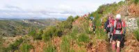 Le phénomène trail