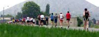 Route du Louvre : Tous prêts pour la longue course