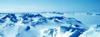 The Polar Circle Marathon : Un terrain d'aventures au Groenland