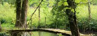 Marathon Seine-Eure : 10ème édition ce dimanche