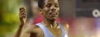 Meeting d'Hengelo : Gebreselassie de retour