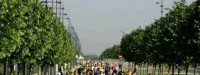 Marathon de Sénart : Reçu 10 sur 10