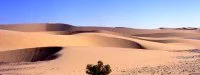 3 hommes veulent courir un ultra marathon dans le Sahara