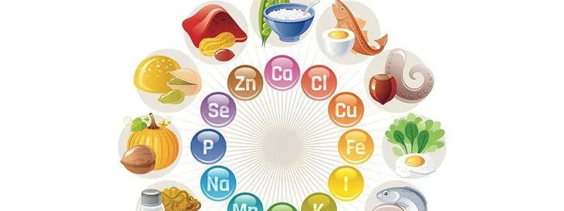 Rôle des minéraux dans l'organisme