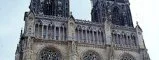 Marathon d'Orléans 2008 : Retour en forêt 