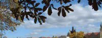 Le tracé du semi de Prague menacé par la crue de la Vltava