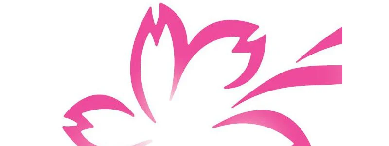 Fukui Sakura Marathon