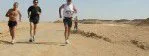 Marathon des Oasis en Tunisie : 500 participants en provenance de huit pays immergés dans la splendeur du désert