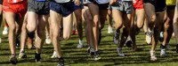 Mondiaux de cross : Les Bleus jouent la carte collective