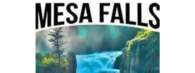 Mesa Falls Marathon