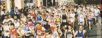28 ème marathon d'Albi : La chasse aux records est ouverte !