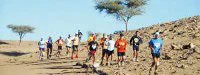Marathon de Zagora : La 10ème édition se tiendra le 29 décembre