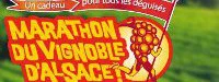 Communiqué de presse du marathon du Vignoble d'Alsace