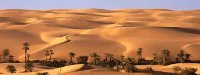 Marathon de Zagora : Succès pour Hammou Moudouji et Aziza Raji