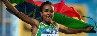 Meeting de Karlsruhe : RM du 1500 m en salle pour Genzebe Dibaba