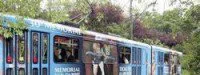 Les préparatifs du Mémorial Van Damme 2006