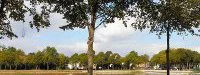 Marathon de la Somme : Antoine Dubreucq et Delphine Dhuyvettere victorieux