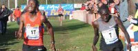 Cross de l'Acier : Victoire de Cornelius Kangogo