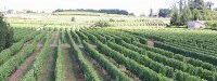 Le Sauternais lancera son marathon en 2011