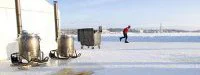 Antarctic Ice Marathon : Succès du tchèque Petr Vabrousek 
