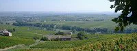 Communiqué de presse du marathon du Beaujolais