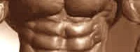 La complainte du muscle actif
