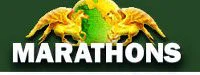 Marathons français 2015 : Le point région par région 