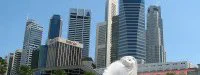 Mort subite d'un coureur à la fin du semi-marathon de Singapour