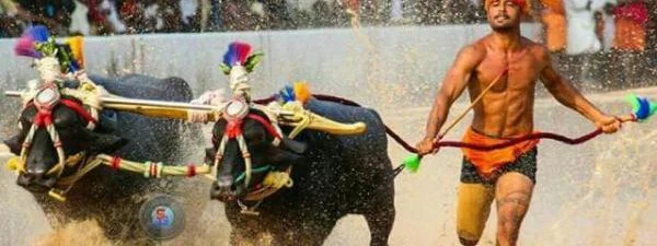 Un indien plus rapide qu'Usain Bolt sur 100 m