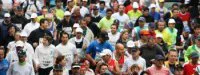 Le 32 ème marathon d'Albi sur la ligne de départ