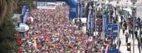 Marathon des Alpes-Maritimes : Plus de 10000 participants attendus