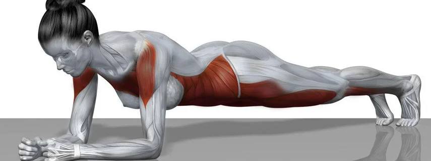 Marathon : L'importance du travail de gainage