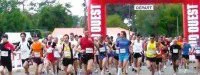 Le Marathon de l'Huitre et la Coccinelle 