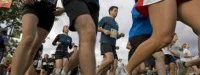 Marathon de Montréal : 26 ème à l'arrivée en poussette